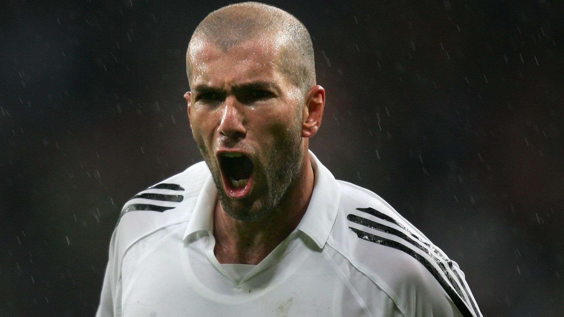 这两队徽的 这两队徽的