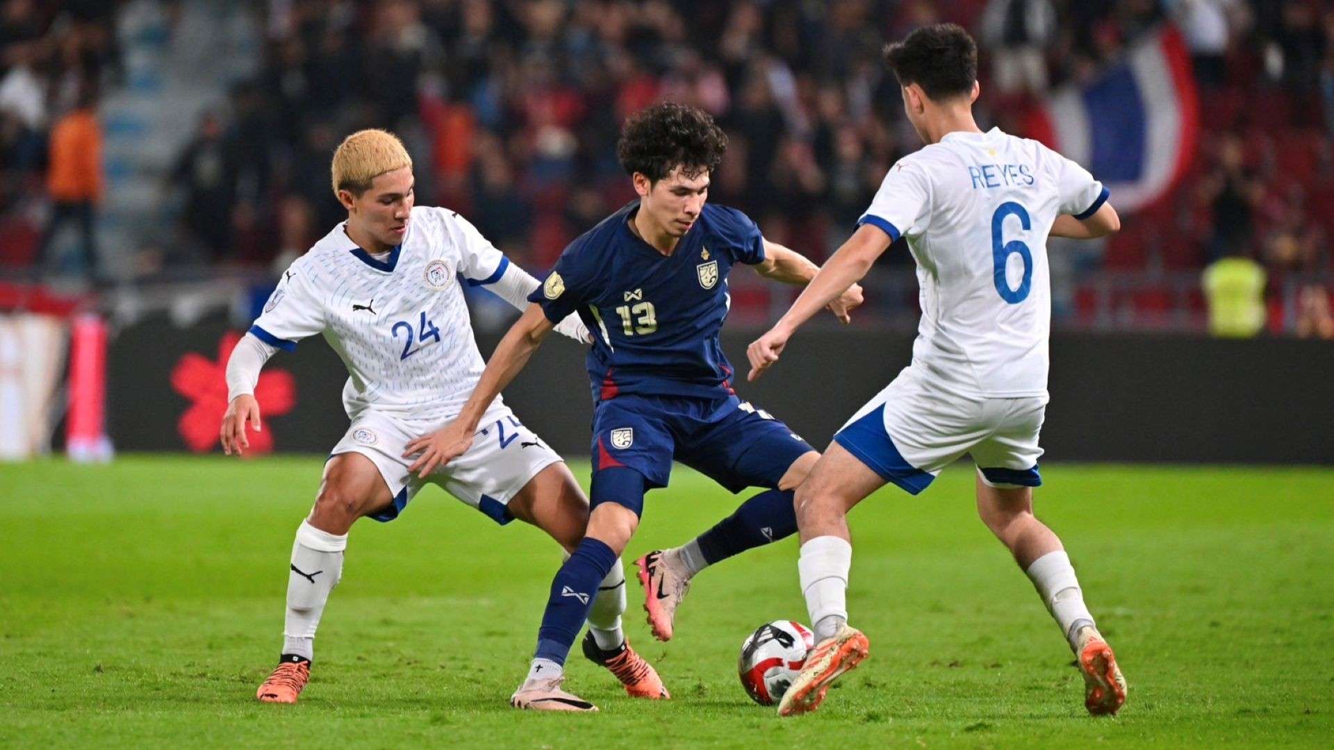 球迷的支持 球迷的支持